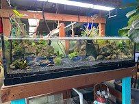 Infinite Aquarium photo 2