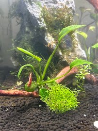 Infinite Aquarium photo 5