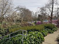 Ron K. Bills Spraypark photo 5