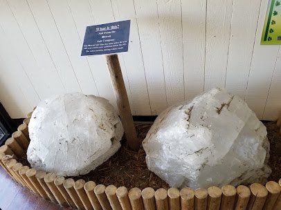 Belle Isle Nature Center photo 3