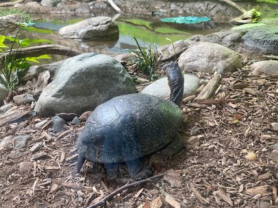 Belle Isle Nature Center photo 4