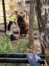 Orange County Zoo photo 3