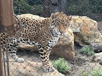 Orange County Zoo photo 4
