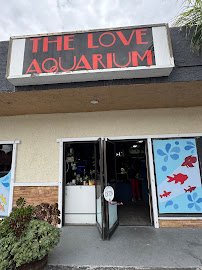 The Love Aquarium