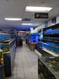 The Love Aquarium photo 2