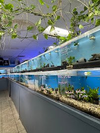 The Love Aquarium photo 3