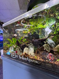 The Love Aquarium photo 5