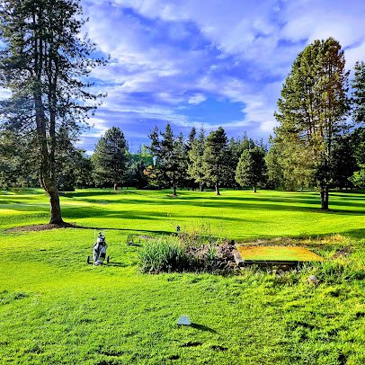 Sah-Hah-Lee Golf Course photo 3