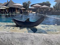 Discovery Point San Antonio photo 3