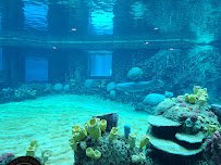 Discovery Point San Antonio photo 4