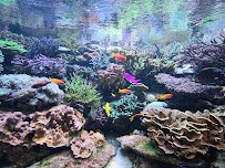 Discovery Point San Antonio photo 5