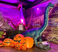 Dinosaur Land Children's Museum photo 3