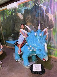 Dinosaur Land Children's Museum photo 4