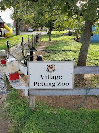 Village Petting Zoo