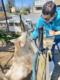 Village Petting Zoo photo 2
