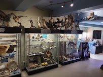 Tide Pool & Aquarium