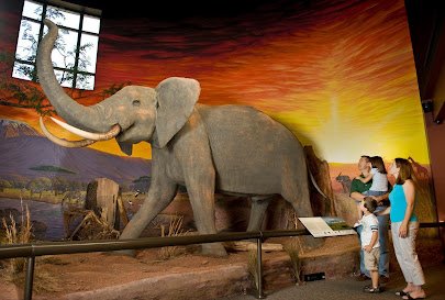 Oakes Museum of Natural History