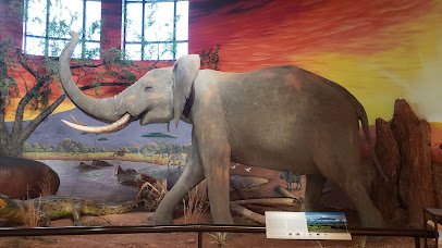 Oakes Museum of Natural History photo 3