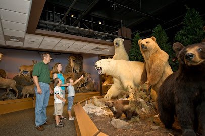 Oakes Museum of Natural History photo 4