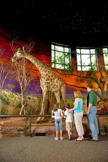 Oakes Museum of Natural History photo 5