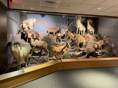Oakes Museum of Natural History photo 6
