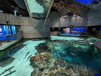 National Aquarium photo 3