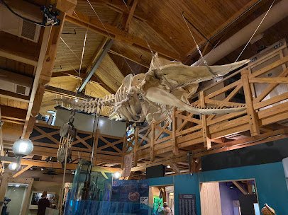 North Carolina Maritime Museum in Beaufort photo 5