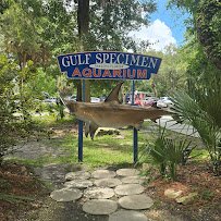 Gulf Specimen Aquarium