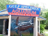 Gulf Specimen Aquarium photo 6