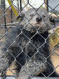 Wild Wonders, Inc photo 2