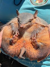 Wild Wonders, Inc photo 3