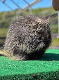 Wild Wonders, Inc photo 4