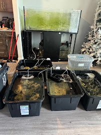 OceanCare Relocation inc