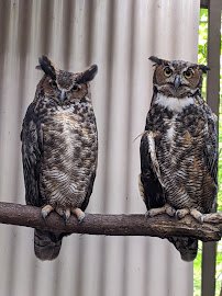 Brukner Nature Center photo 3
