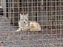 Brukner Nature Center photo 4