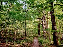 Brukner Nature Center photo 5
