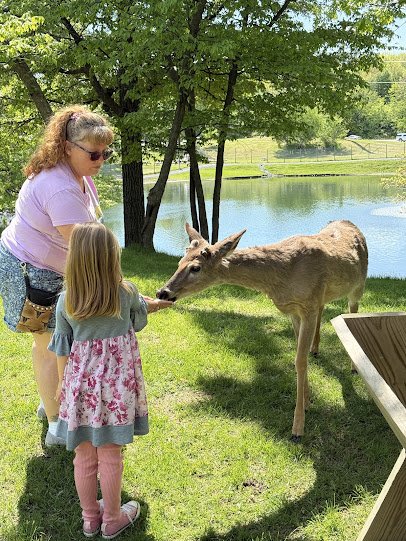 FAWN-DOE-ROSA Wildlife Educational Park photo 3