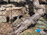 Kansas Wildlife Exhibit photo 2