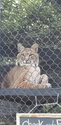 Kansas Wildlife Exhibit photo 3