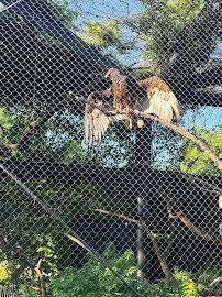 Kansas Wildlife Exhibit photo 5