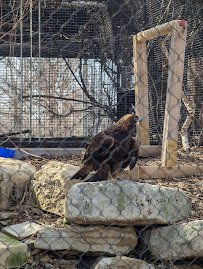 Kansas Wildlife Exhibit photo 6