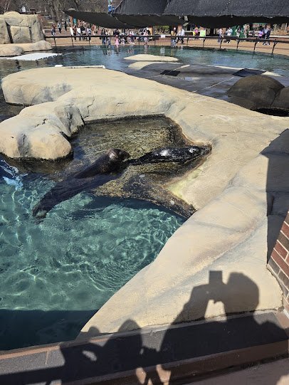 Kovler Seal Pool photo 3