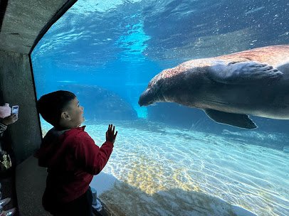 Kovler Seal Pool photo 6
