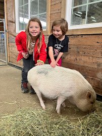 Lil' Buckaroo's Petting Zoo photo 4