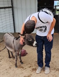 Lil' Buckaroo's Petting Zoo photo 5