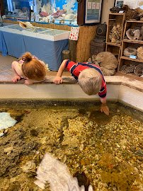 Ostego Bay Foundation Marine Science Center photo 3