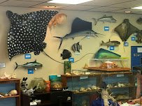 Ostego Bay Foundation Marine Science Center photo 4