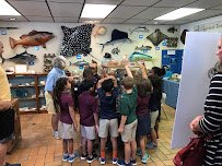 Ostego Bay Foundation Marine Science Center photo 6