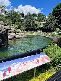 California Sea Lion Pool