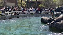 California Sea Lion Pool photo 2